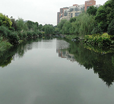 浙江省杭州市江干区九堡镇九号港